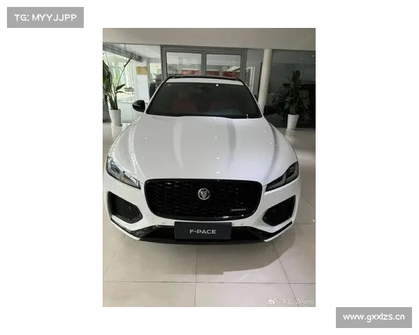 「首试」爱跑的大豹子 _ 捷豹路虎 捷豹新款F-PACE