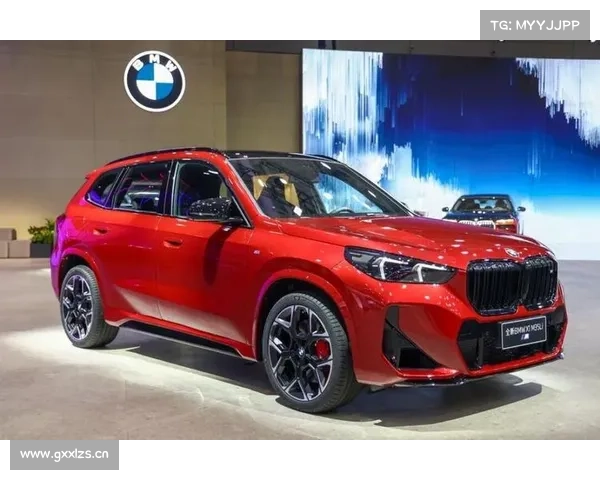 一台入门即高配的车--BMW X1 一台入门即高配的车--BMW X1
